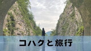 コハクと旅行