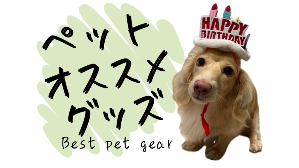 ペットオススメグッズ